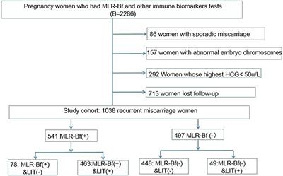 The Effects of LIT and MLR-Bf on Immune Biomarkers and Pregnancy Outcomes in Women With Previous Early Recurrent Miscarriage: A Retrospective Study